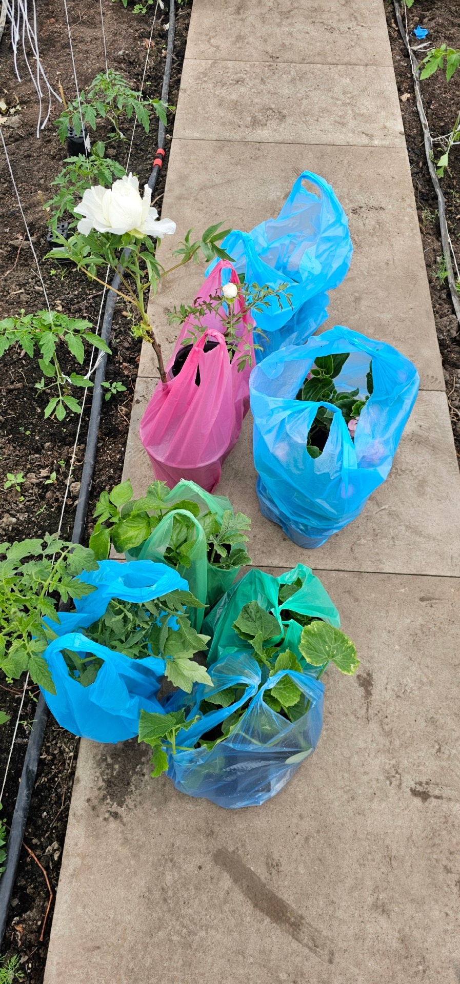 22924931-c762-4942-8ec3-0041d636da03