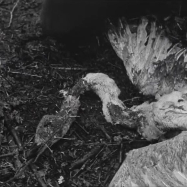 0548a65b-c576-41fe-bfe6-06d97c1b4a46