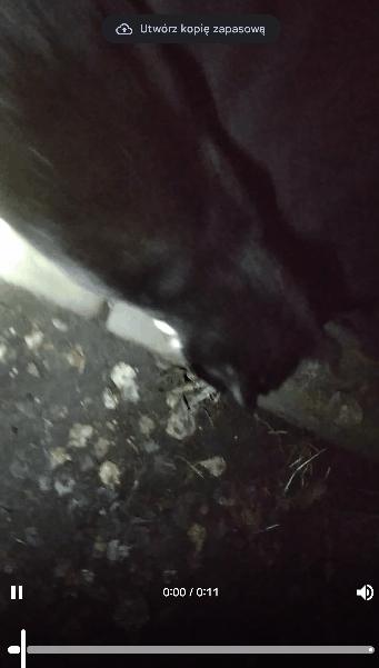 c3cbf49e-1dec-4992-ad47-96b07d7bf8c9