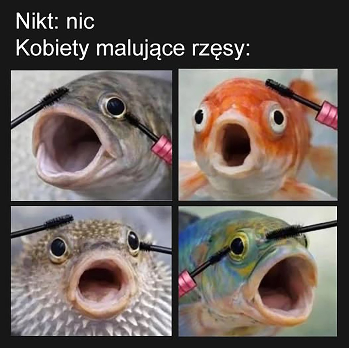 9a08c717-6e7c-41c4-80eb-32a8d0ca67a0