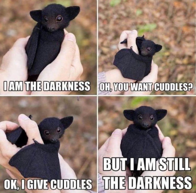 17b92872-fedc-4944-a1ee-bb1a0d3821f1