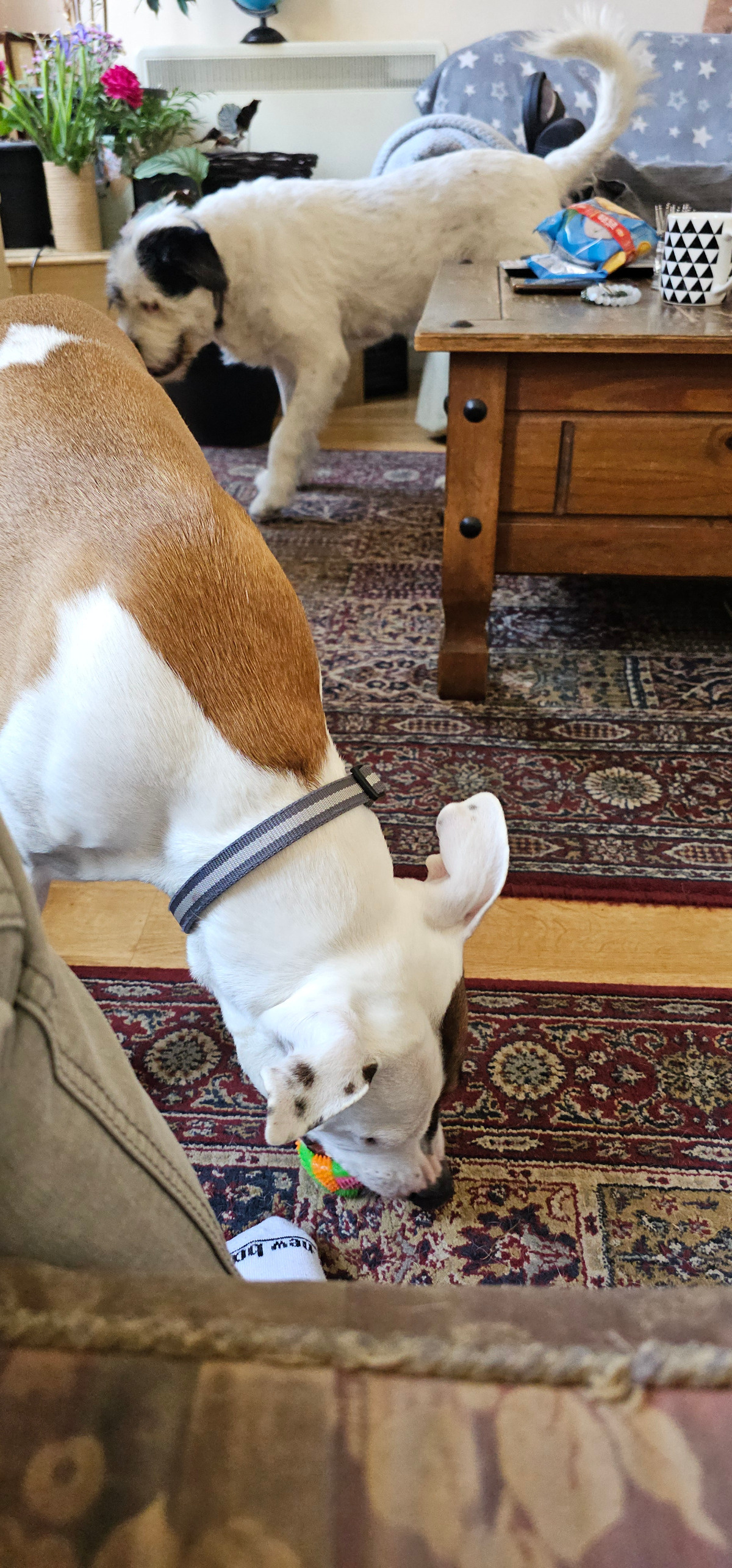 16686628-69a2-4e27-8560-764fae45611c