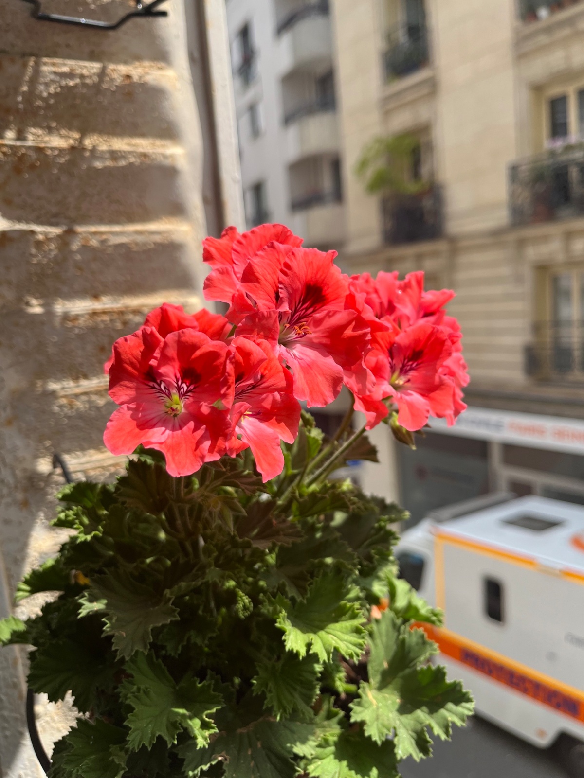 93f43795-ffdd-4758-b29e-6f6a3621746b