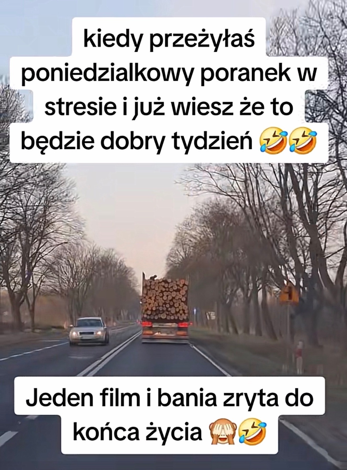 0dab5523-0be3-472a-8149-3336c465127b