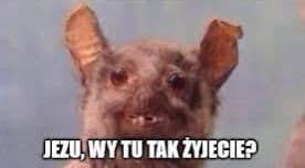 ba061edd-5d99-4026-88e3-69a9abcb1bdf