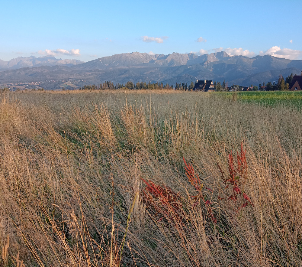 46b14d67-c02c-4448-8c83-d4cfd79e2ebc