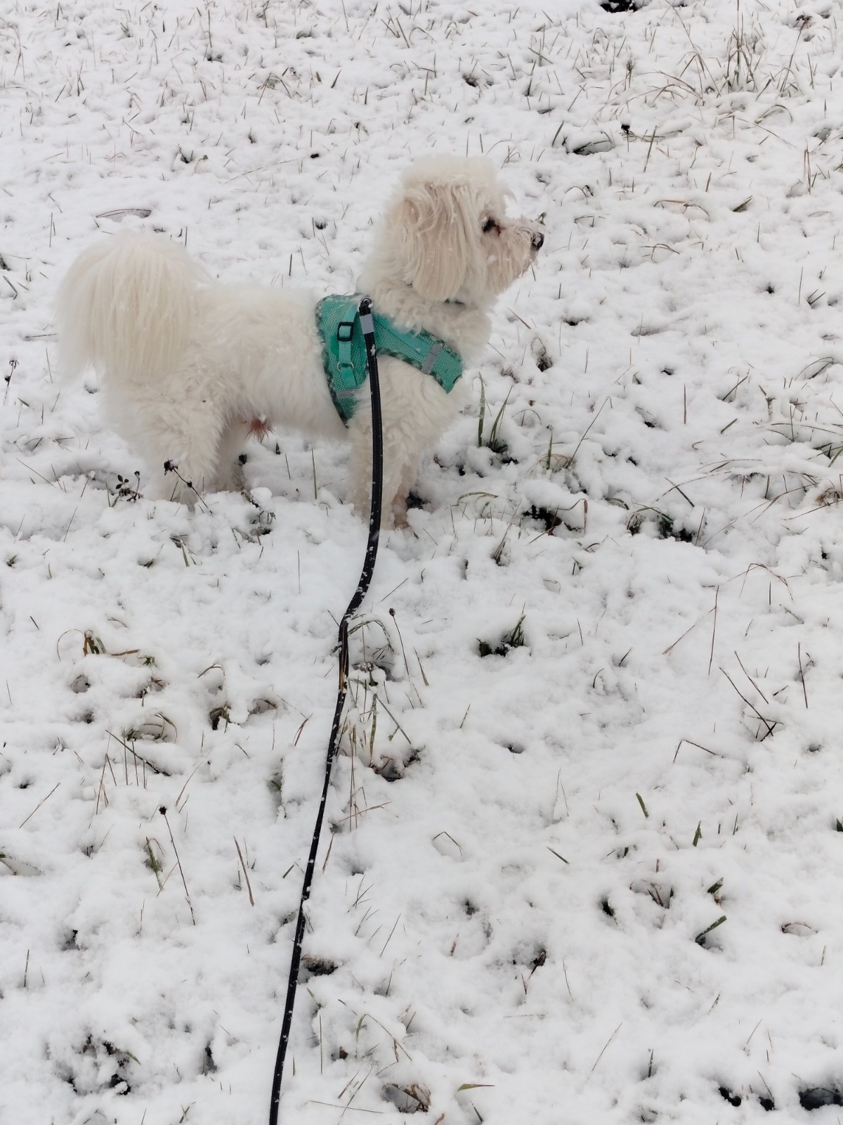 5db3dc83-2c7f-4c00-9092-99ea93574a9a