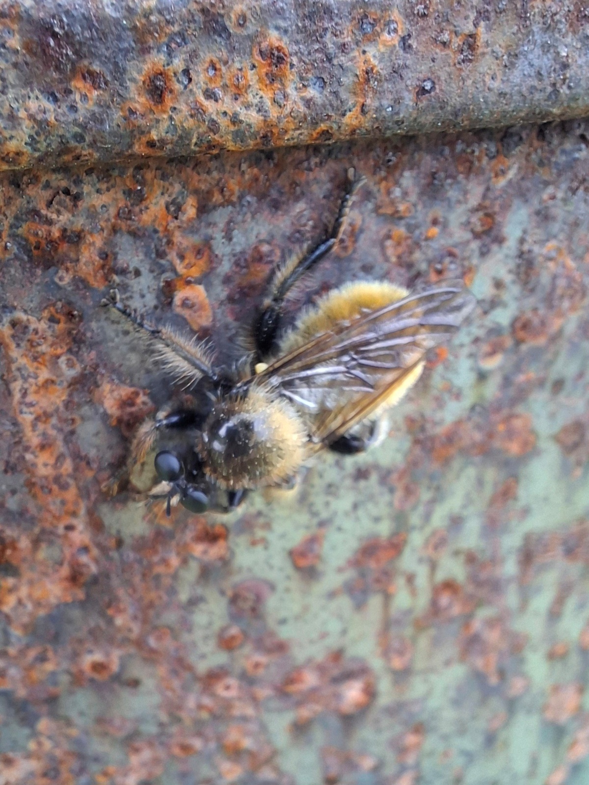 e0a727a7-e66c-4839-a577-9b69a621414c