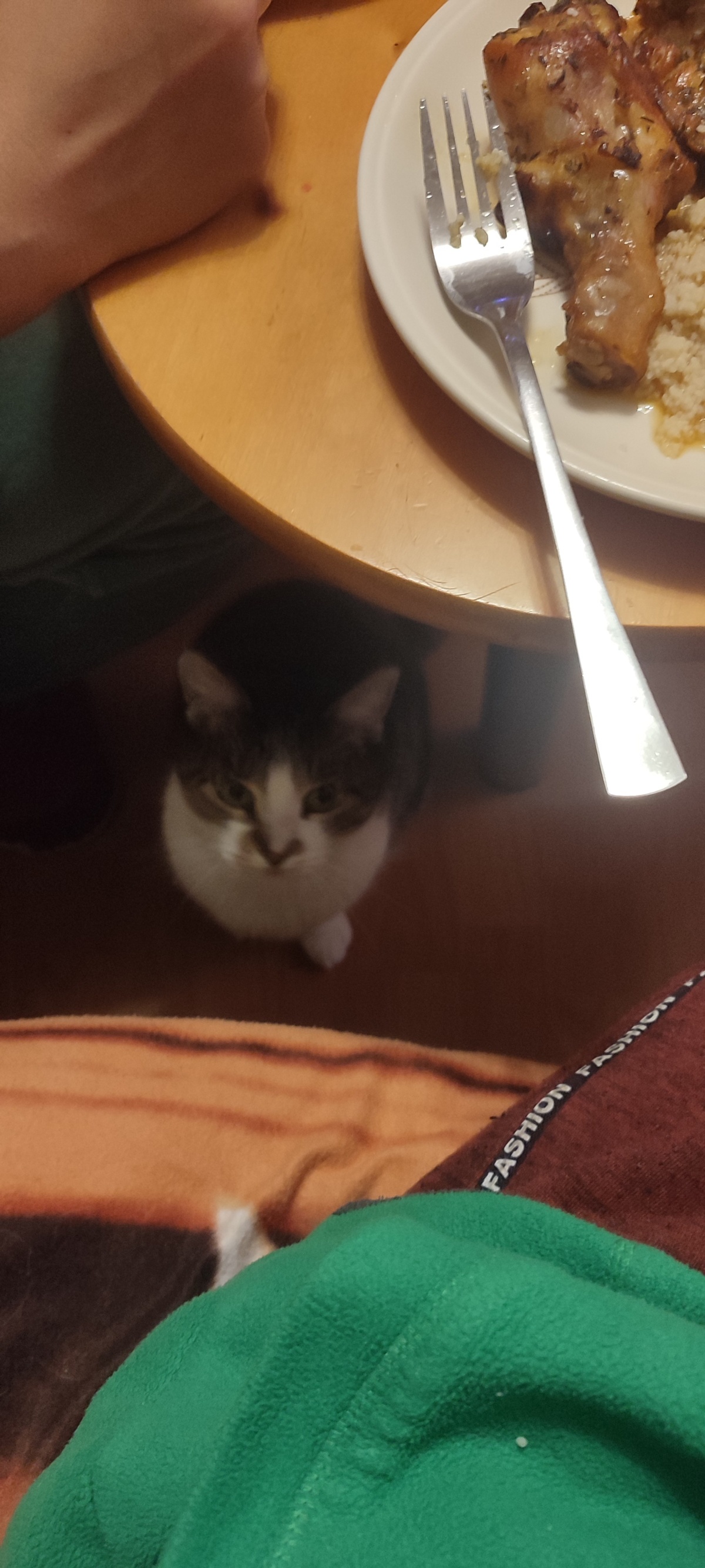 8af473fb-9228-474e-8afb-3caff30ff223