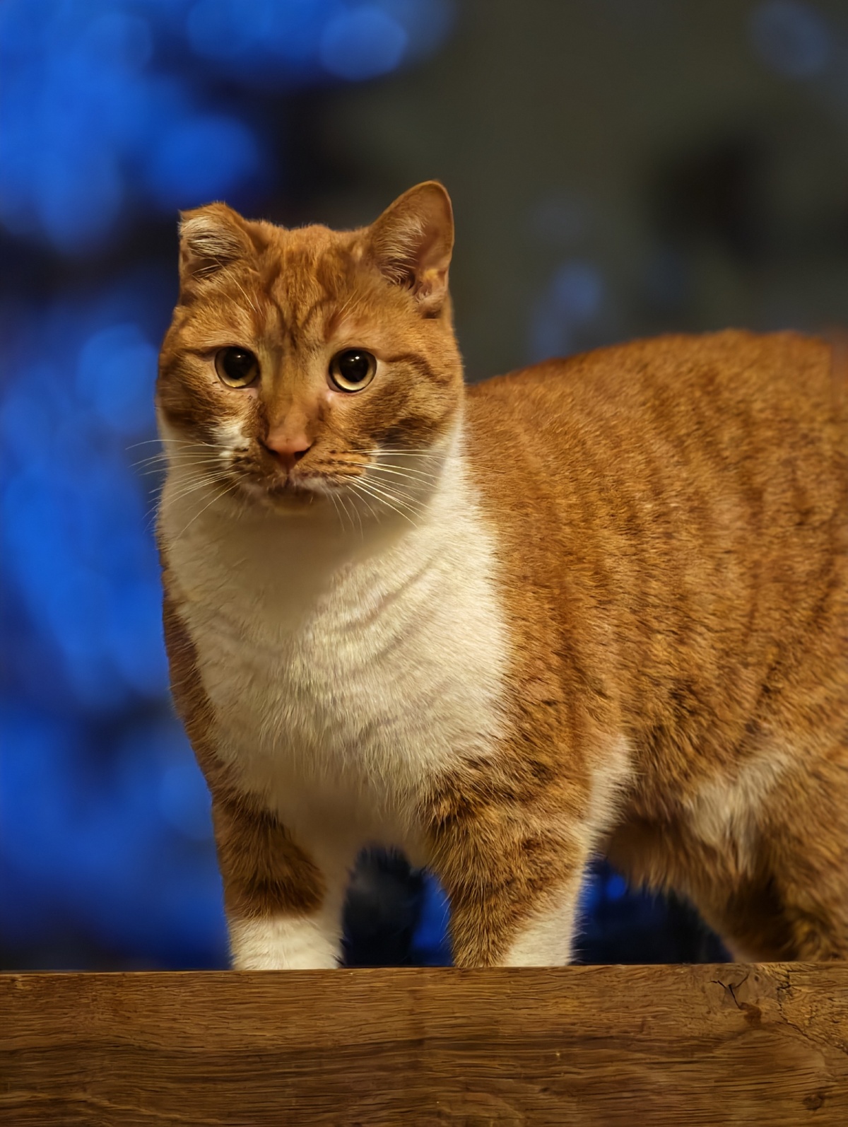 a23b91ca-1409-43f3-8bb8-9443425ad55b