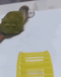 3c4a4242-75b0-48eb-9c6a-1d1c461c5916