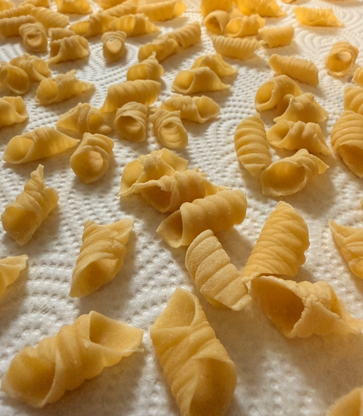 480be13c-c995-49ce-8021-0813e1c4072a