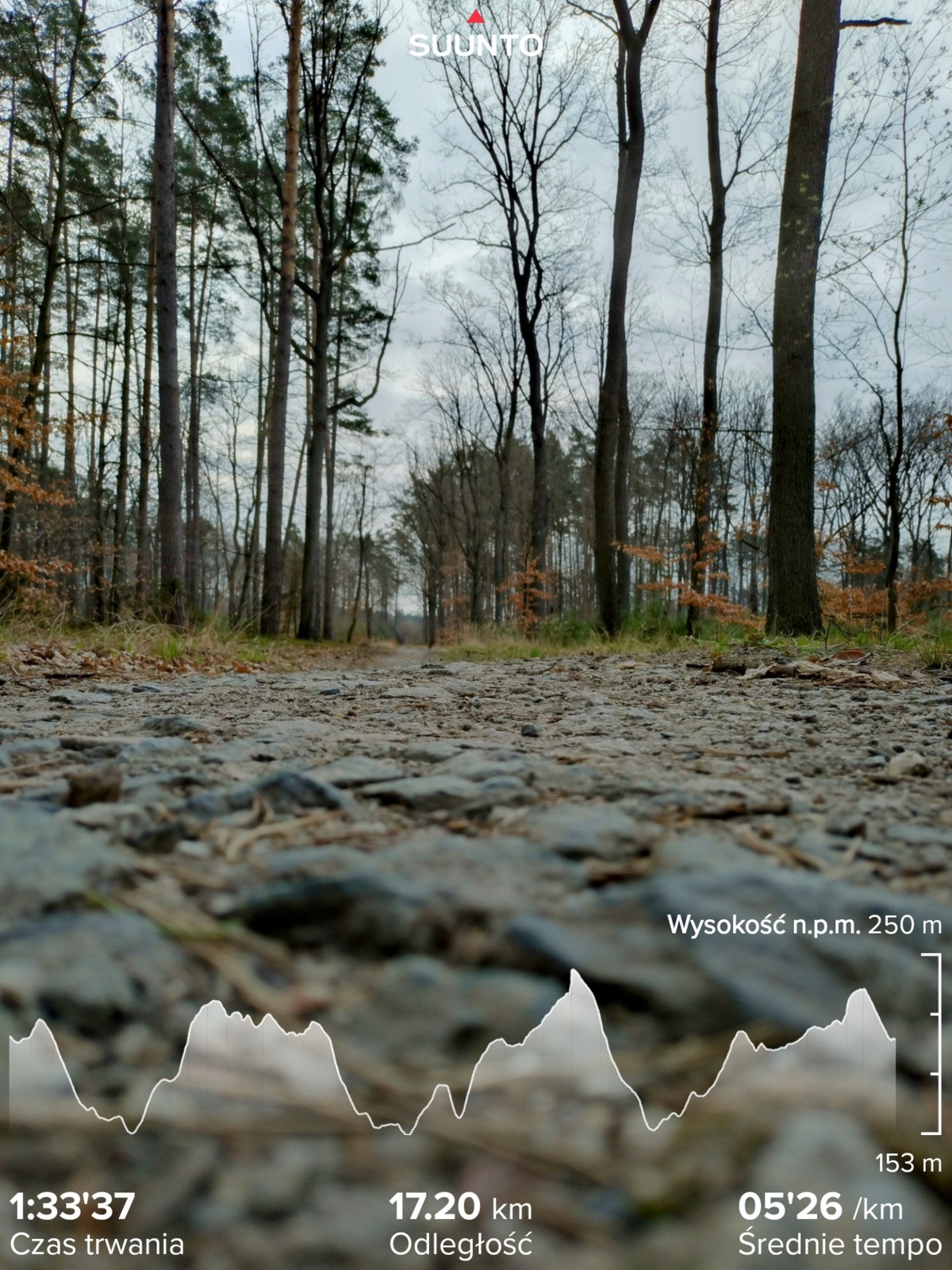 3a483211-bc86-4dcb-9409-7e4c093aacec