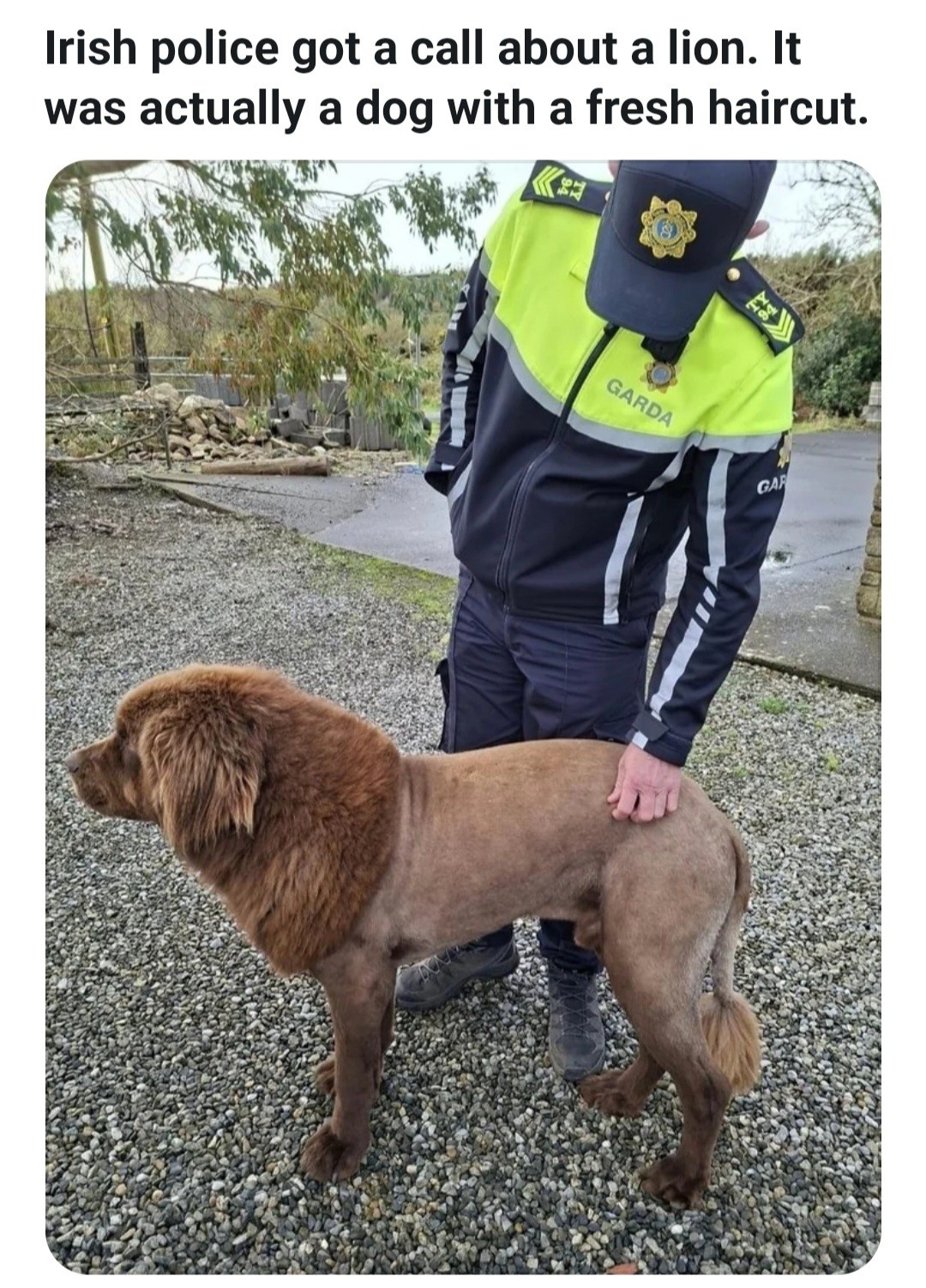 2683688c-6064-4a4d-b8c2-f809861fc304