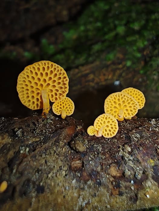 085c2422-a578-4f19-94a7-2fb19c3d64f5