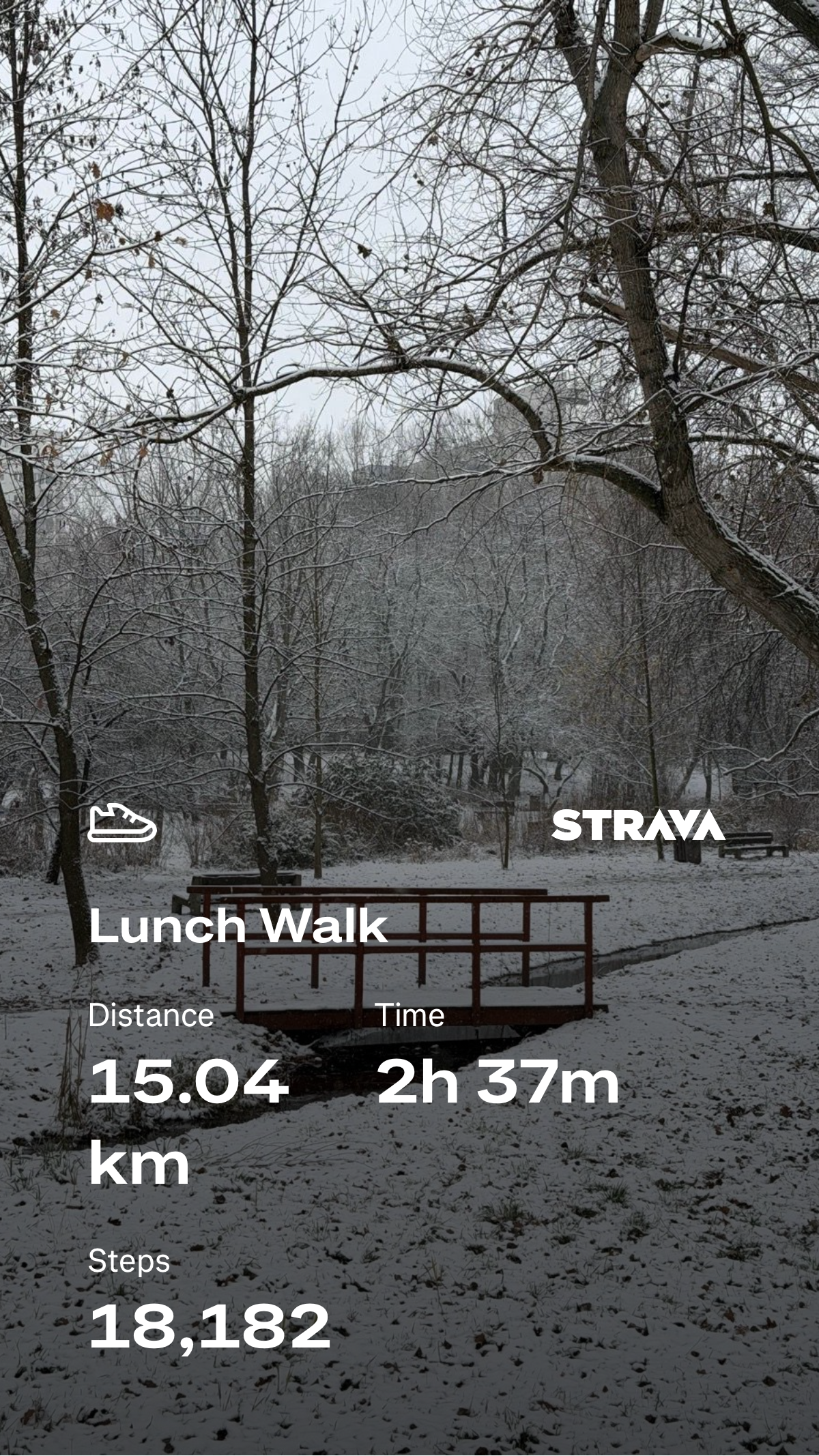 c1d9c4d8-944a-49ad-81e1-8701cc659f4f