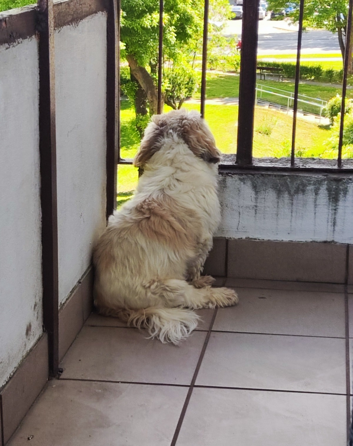 f77a53fc-8821-47f2-949b-b883c71b509b