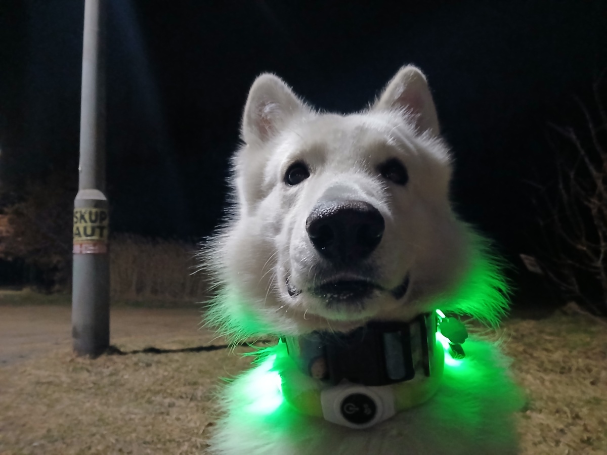 31a70e15-c88e-49ac-b7f9-7f6e4d2c1931