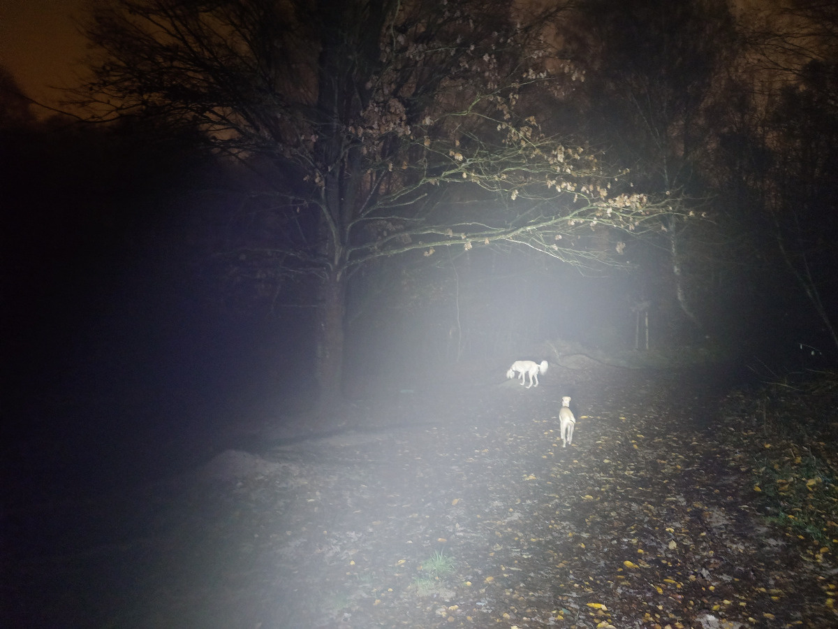 889c5a73-4844-4762-8379-10d4a3d573fa