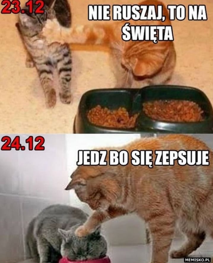 e7a031af-0be3-49e8-9610-ea821c12ee11