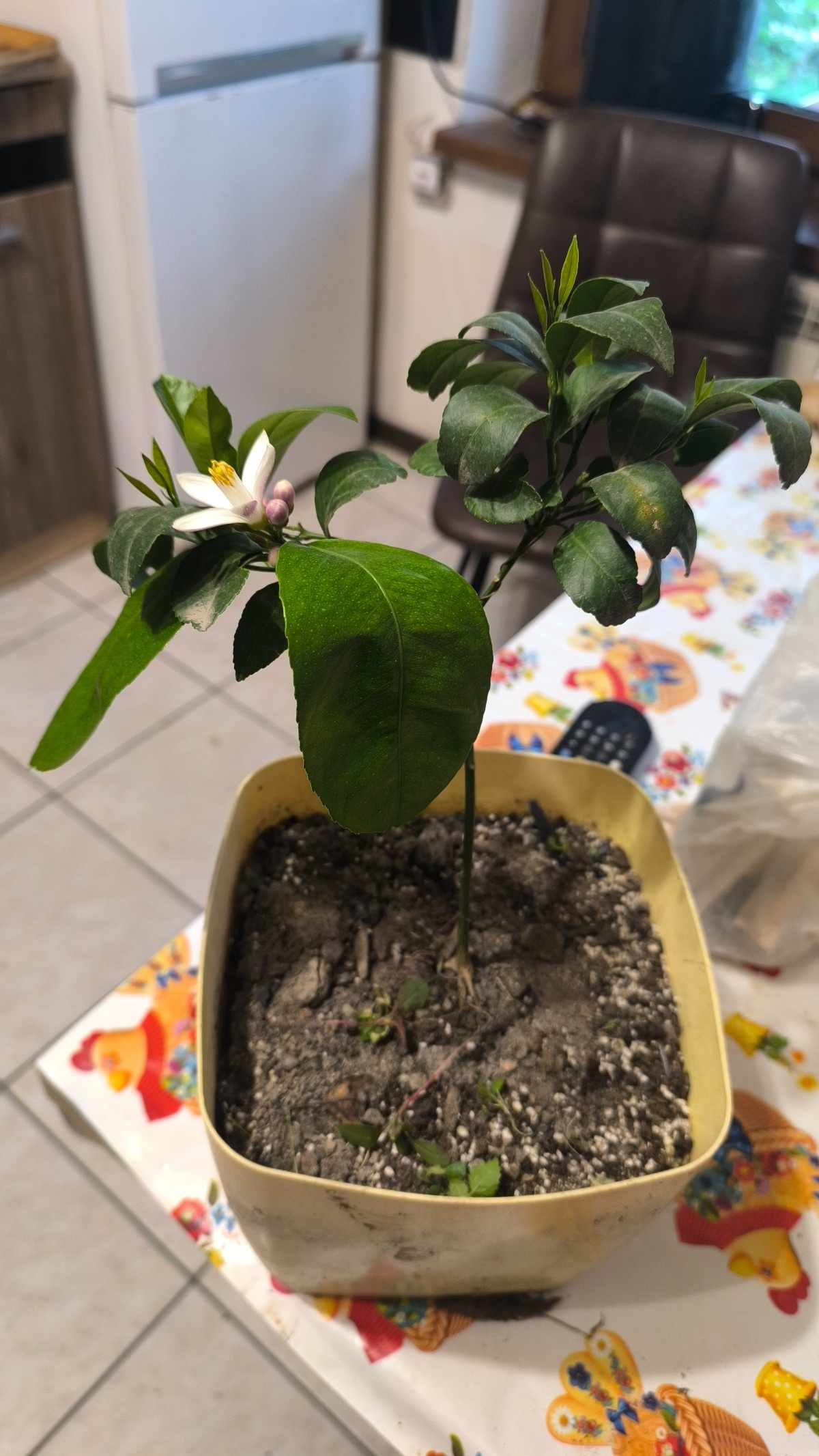 4bcb7ae7-dd84-4b52-99ce-7f6761e90fbd