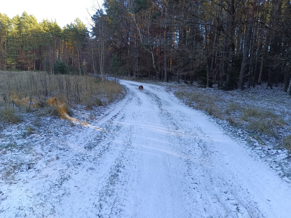 0939641a-8215-4423-ae54-b3c023c5f2af