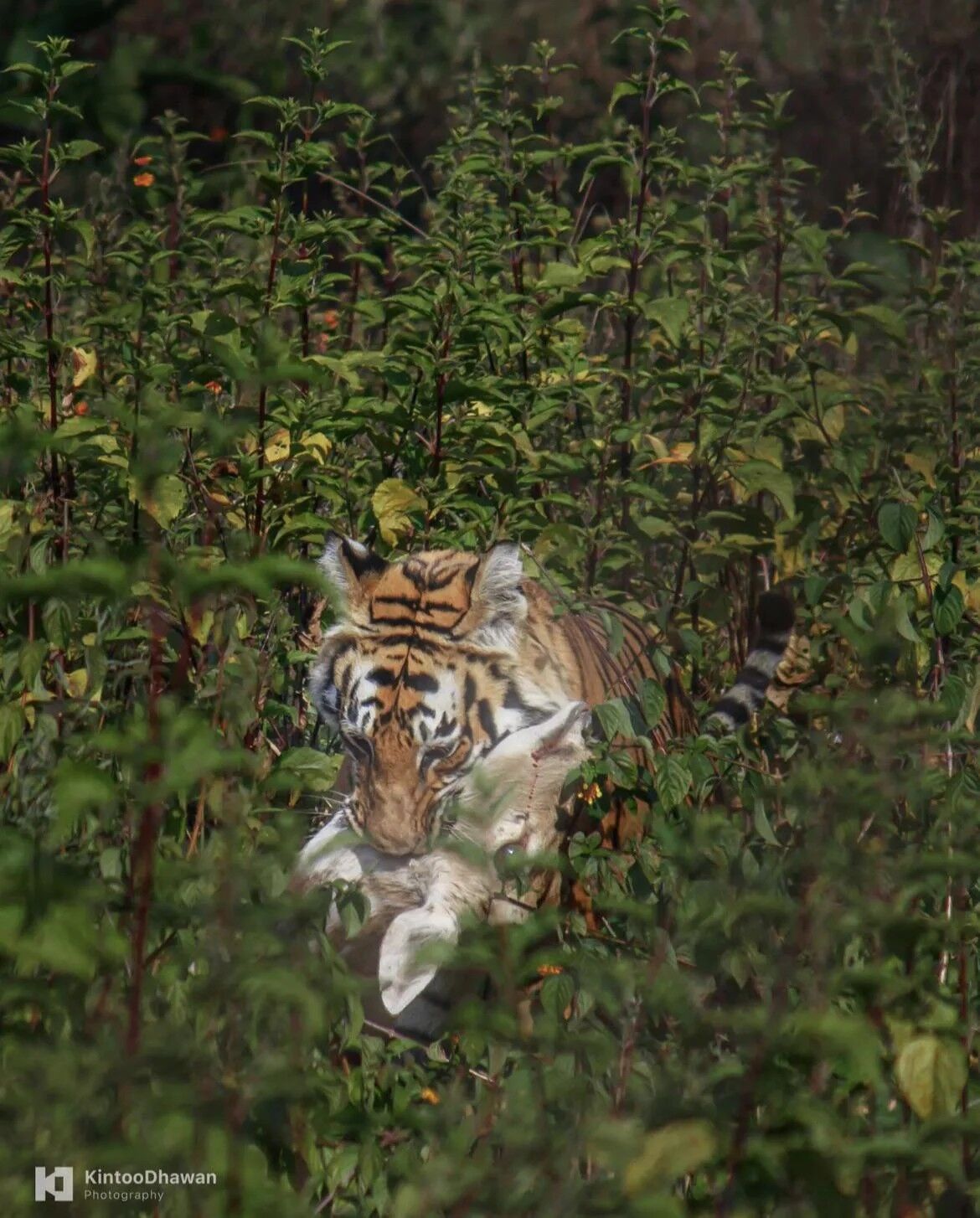 28b57aa2-a141-4848-b5aa-26148da6cbf3