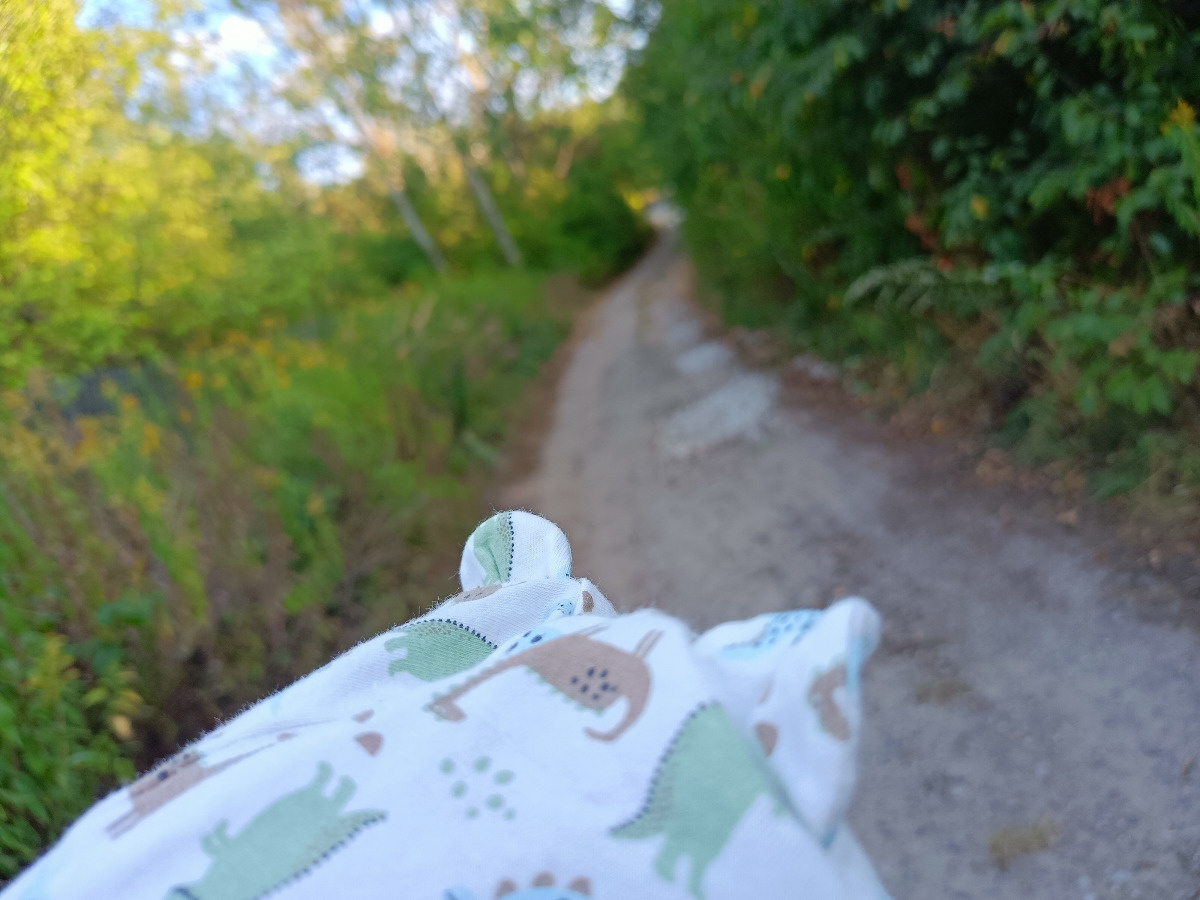 94b60601-ec36-4add-8f63-c56424194223