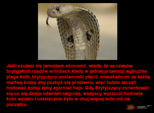 1e3d05f5-8411-4801-ae7f-7f93a02c2f0e