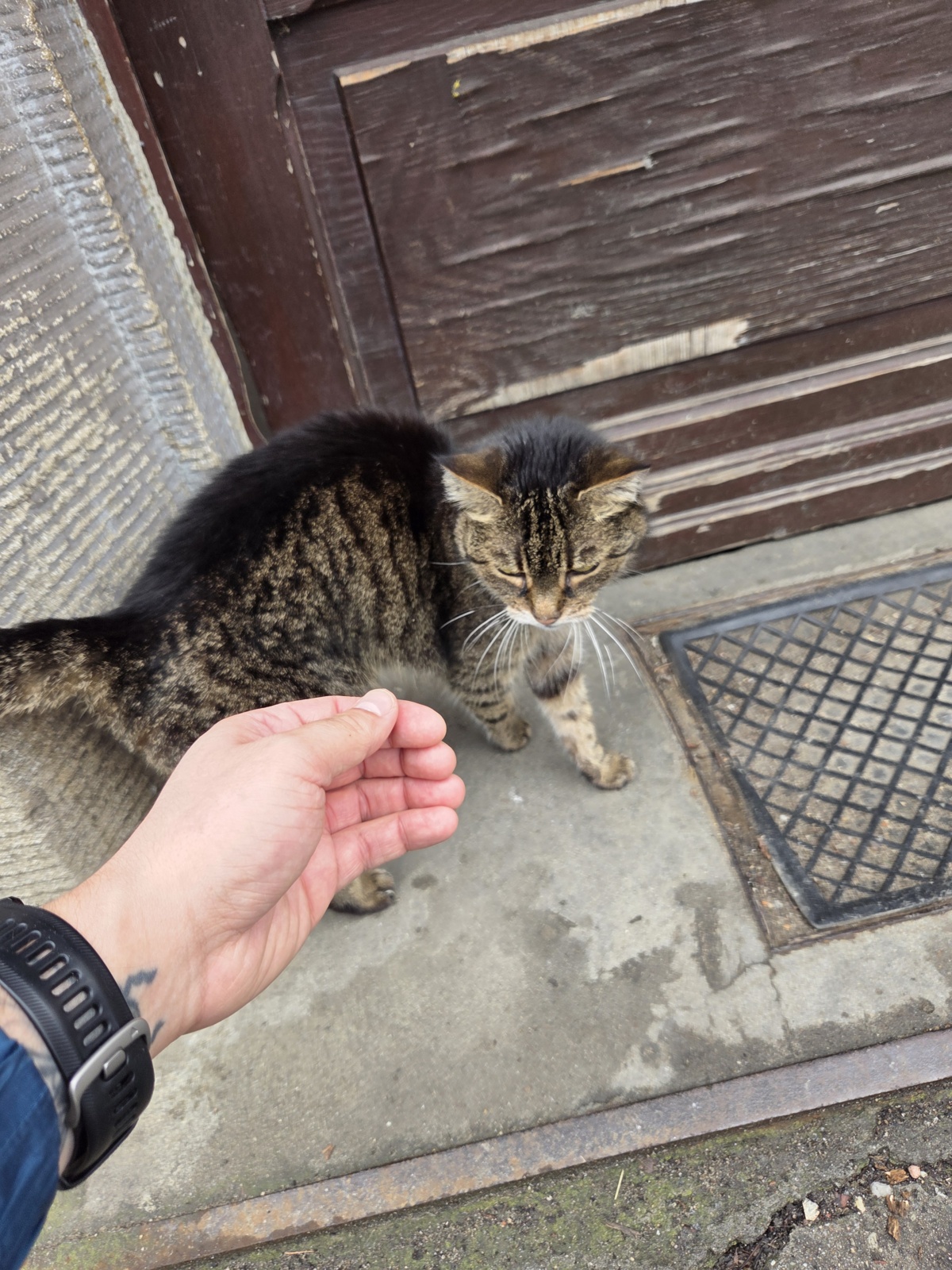 347d16cb-6b08-4e43-90d1-43dfa61b06fc