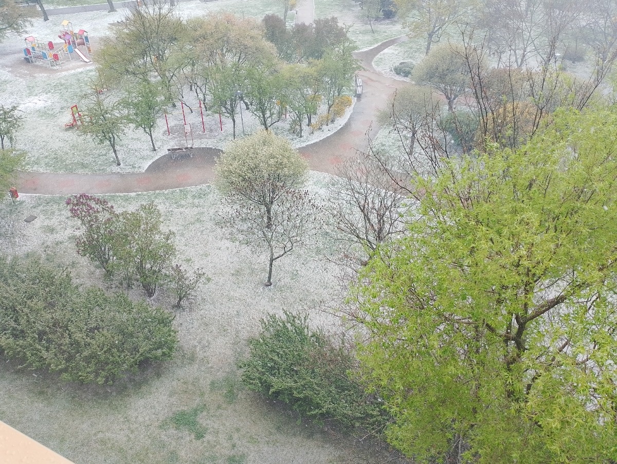 c054bcc1-5d26-45ea-8514-4d0477fa226b