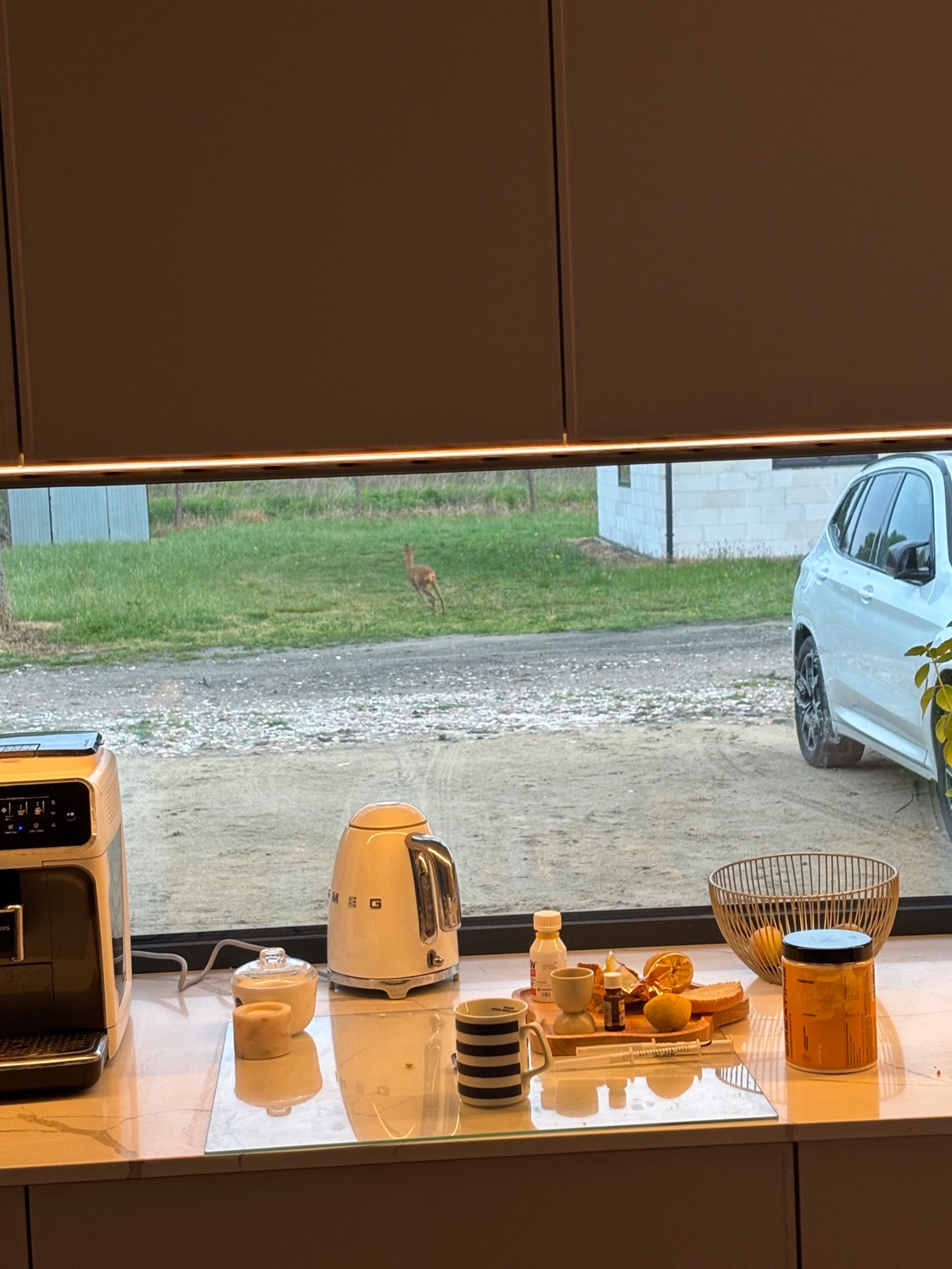 dc600f42-79c5-4495-a664-e27b4b5c45cd