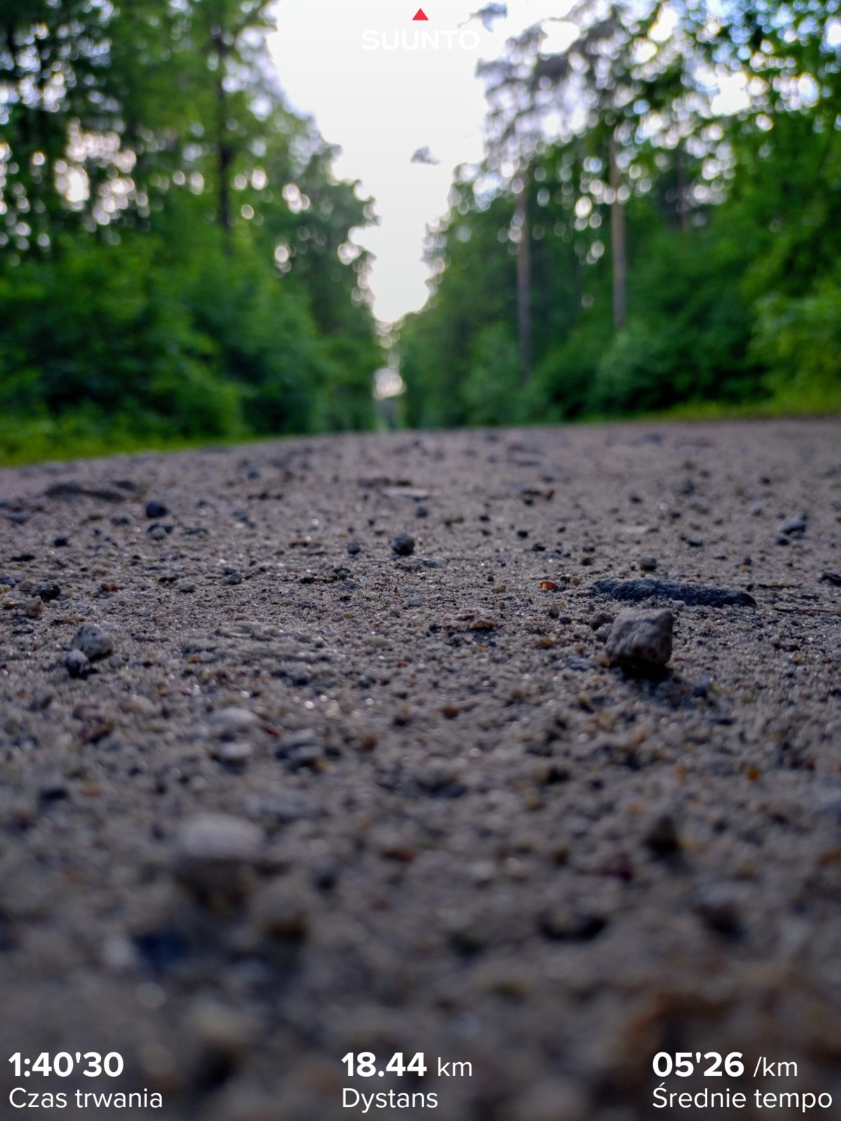 c767bce8-cf99-446d-9959-5ea96741cd16