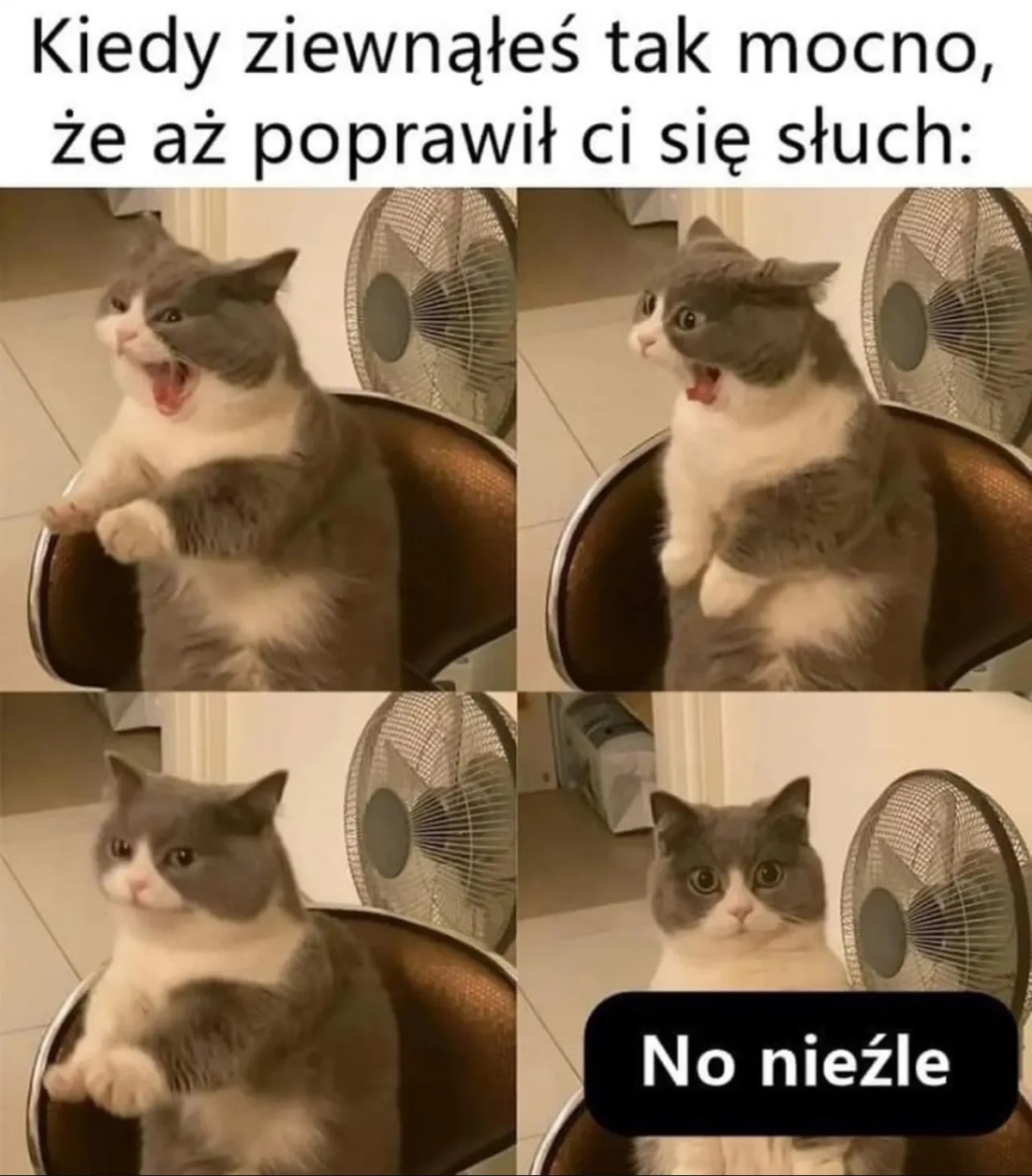 ce70d949-da93-4886-b6c4-519528833fd2