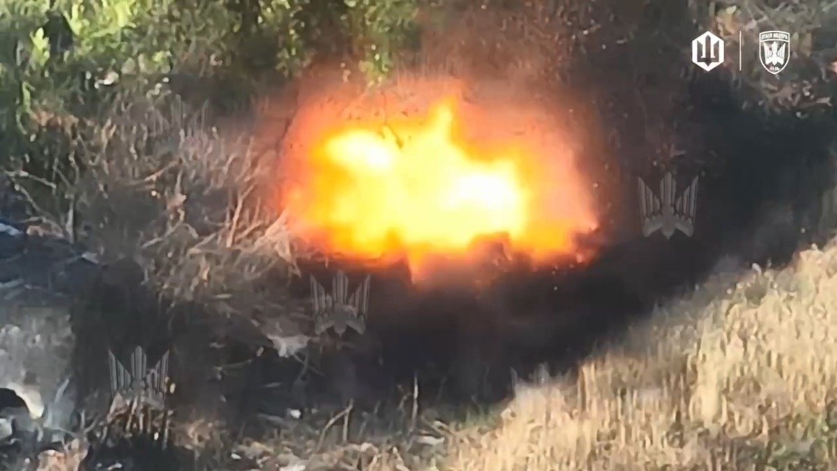 01b63ad3-c318-4df9-9c9f-1943f30fefb7