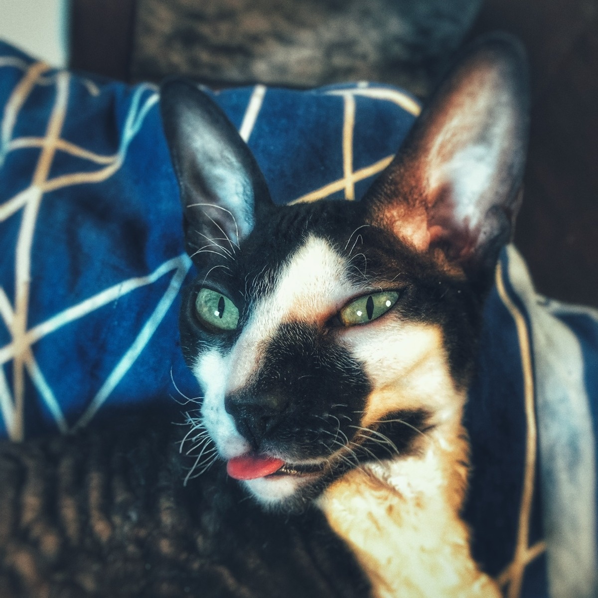 09b802b5-fb2f-4ef8-b90f-6180a1651ba6