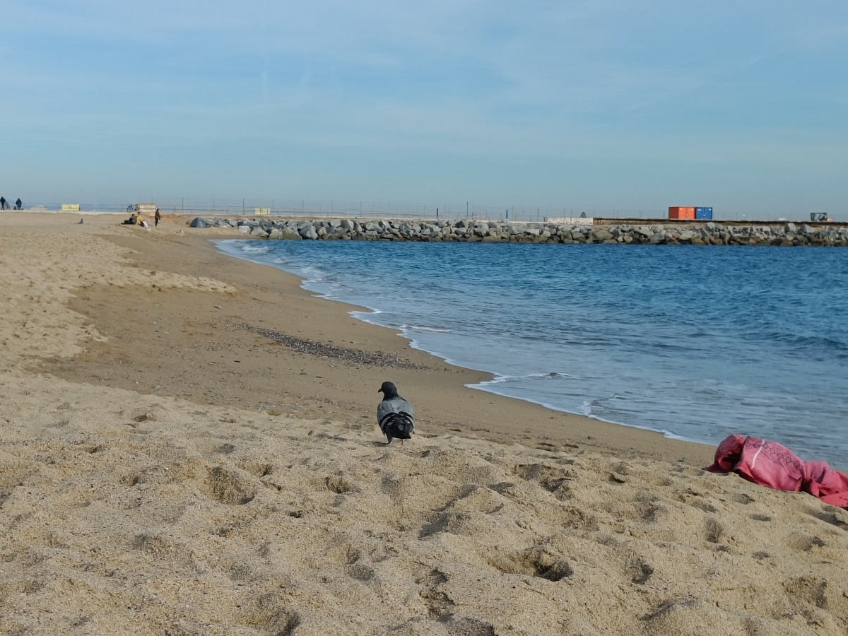 f17090a2-8a6c-4d5e-babf-33d7a8540ecd