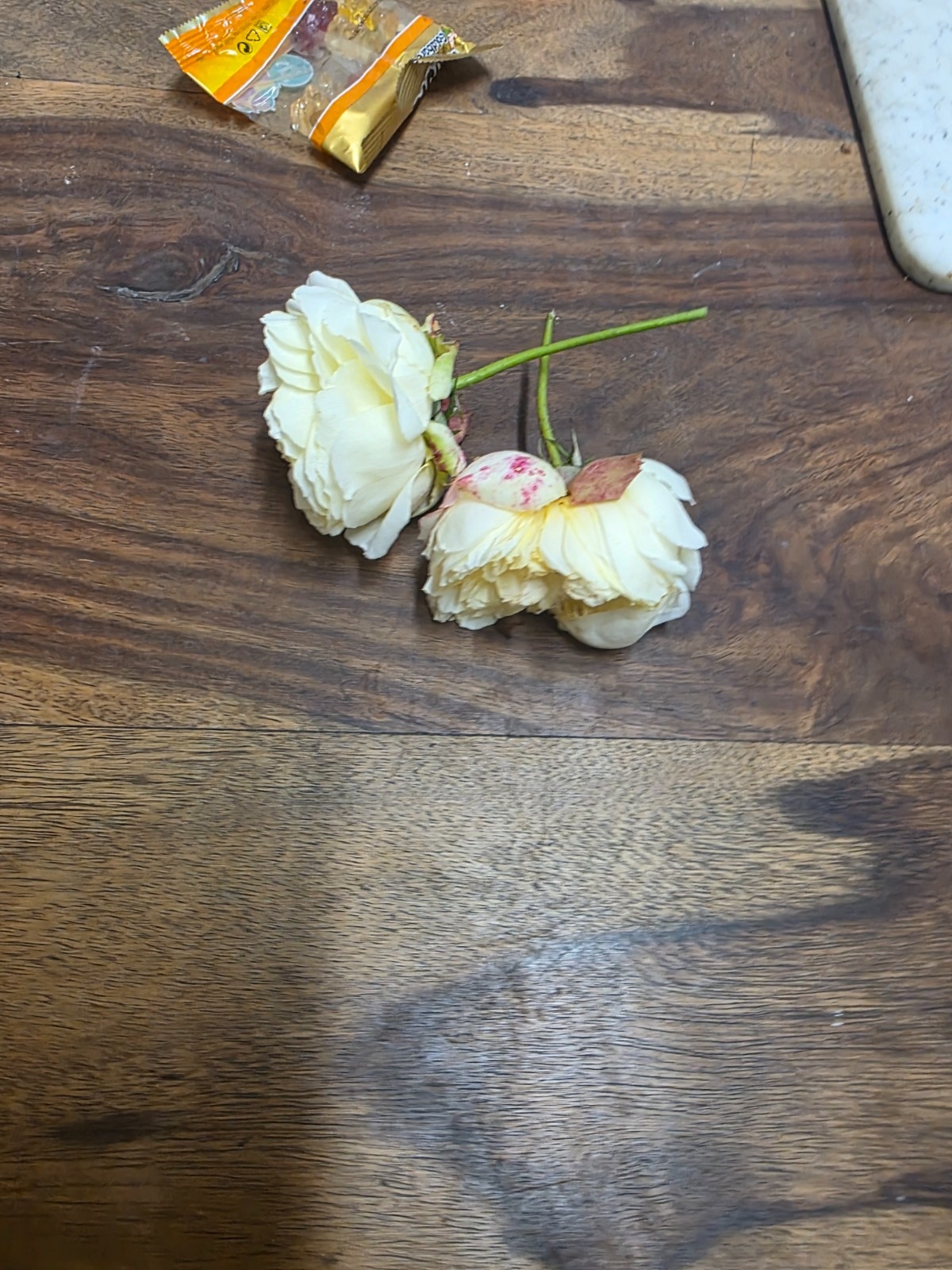 ff738fc2-7317-48b3-82a2-e0101c087d92