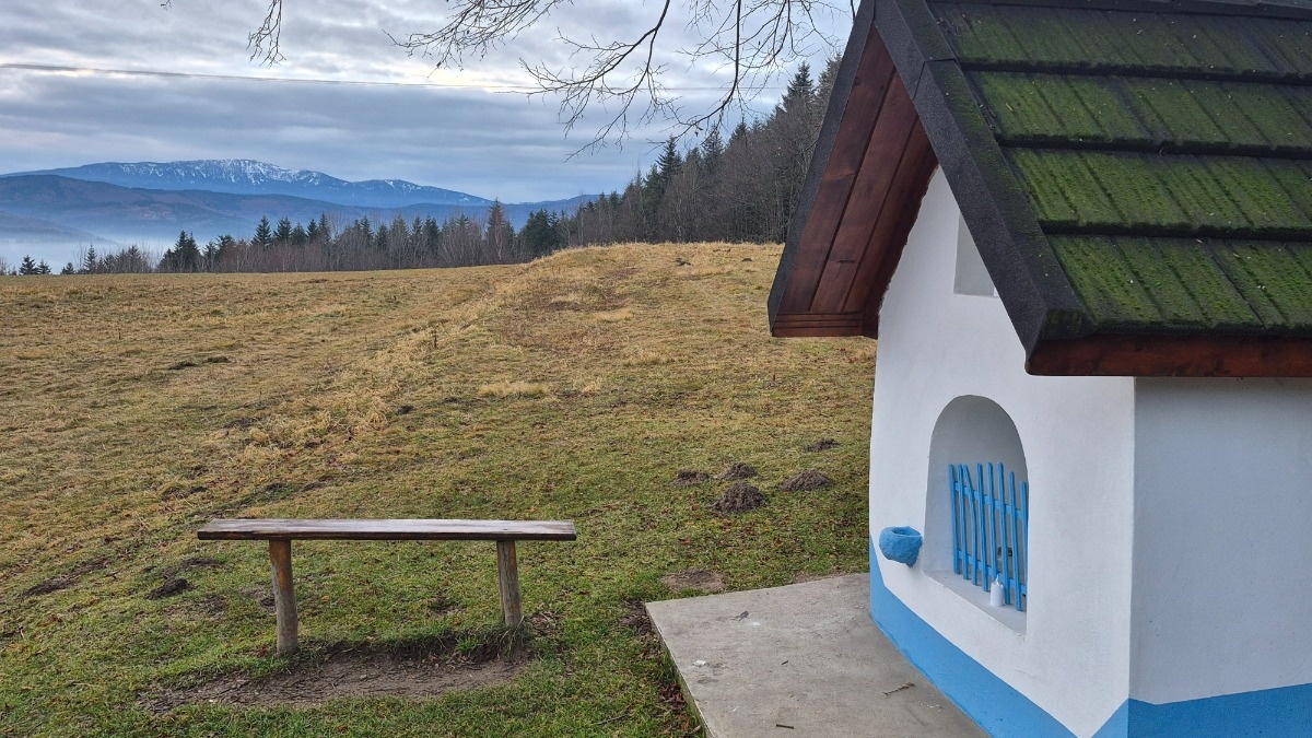 da40675b-348d-44a3-acbb-e06738df2e84