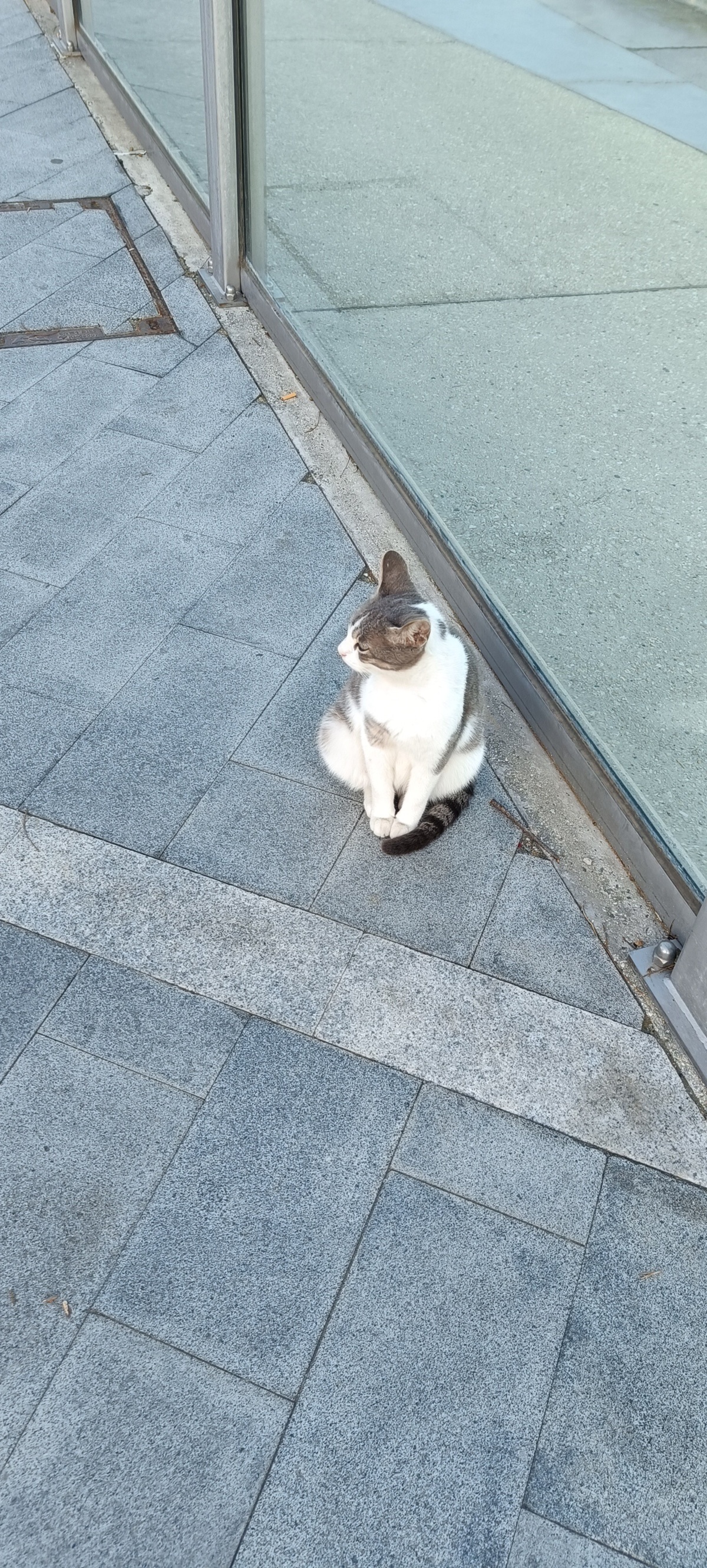 7513ac79-be3d-4f20-adb9-0dbf38ac9828