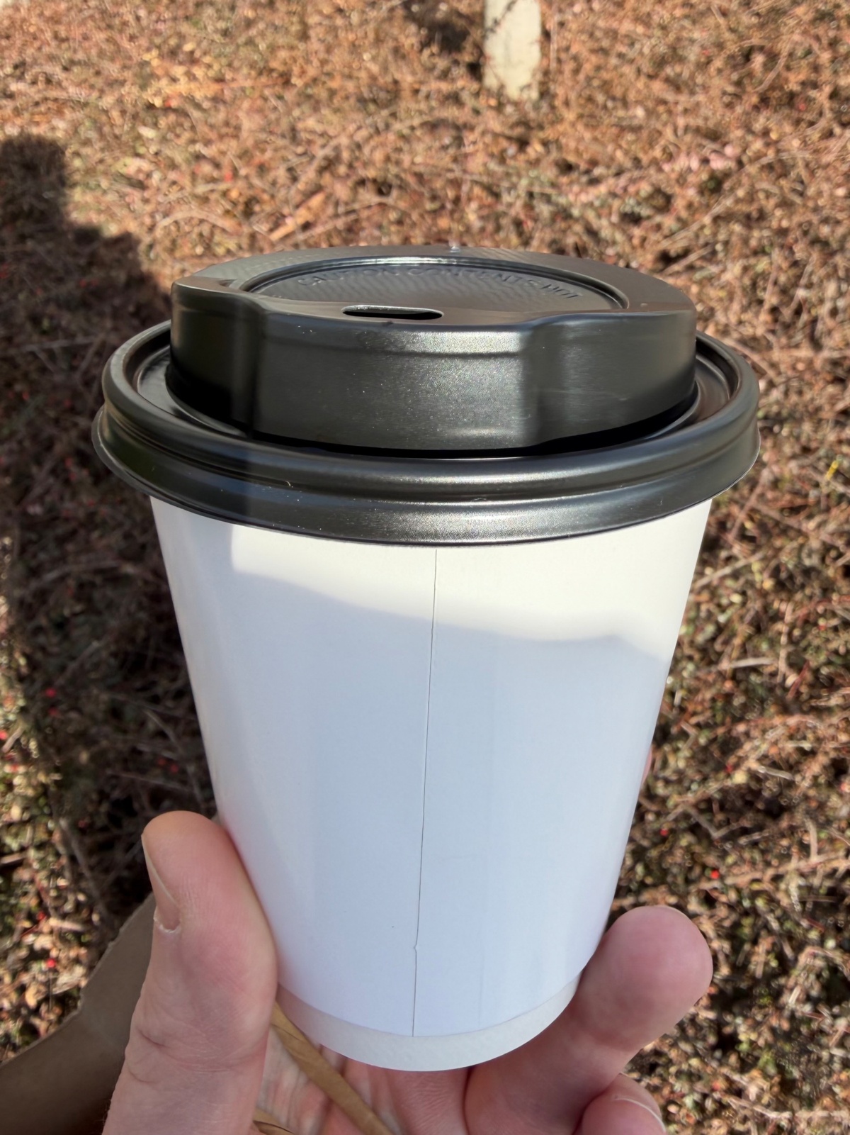 557c782f-b58e-47f7-a5cb-067e4272e00e