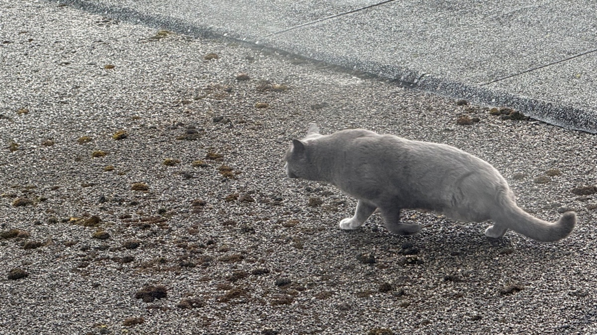 d44850ee-fd8c-4c80-a0e3-c37bd4805e94