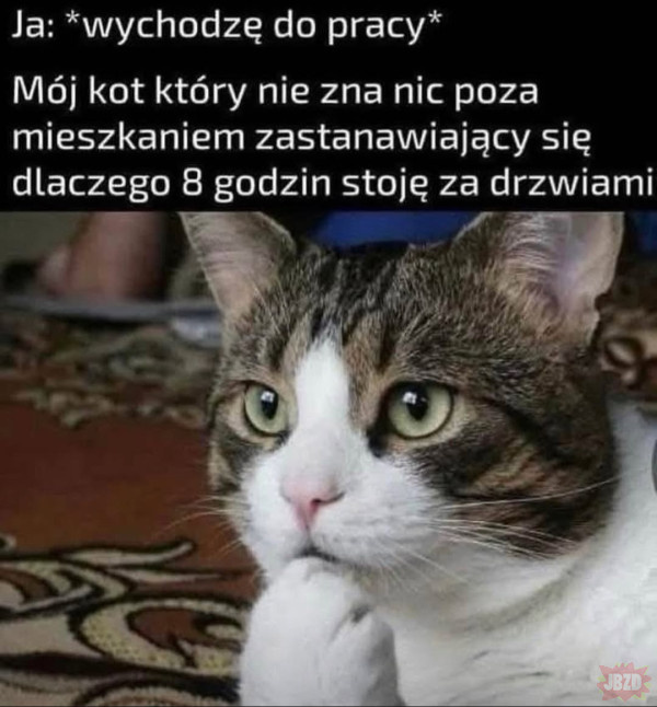 85178f49-ff36-49f3-b6a8-4e40f082b4ff