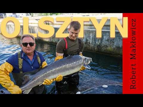 „Gałczyński, kawior i Kopernik" - ROBERT MAKŁOWICZ POLSKA odc.287