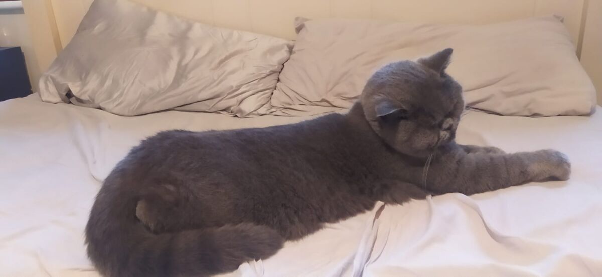 497a1568-c7e6-4097-b8a6-6de397790a79