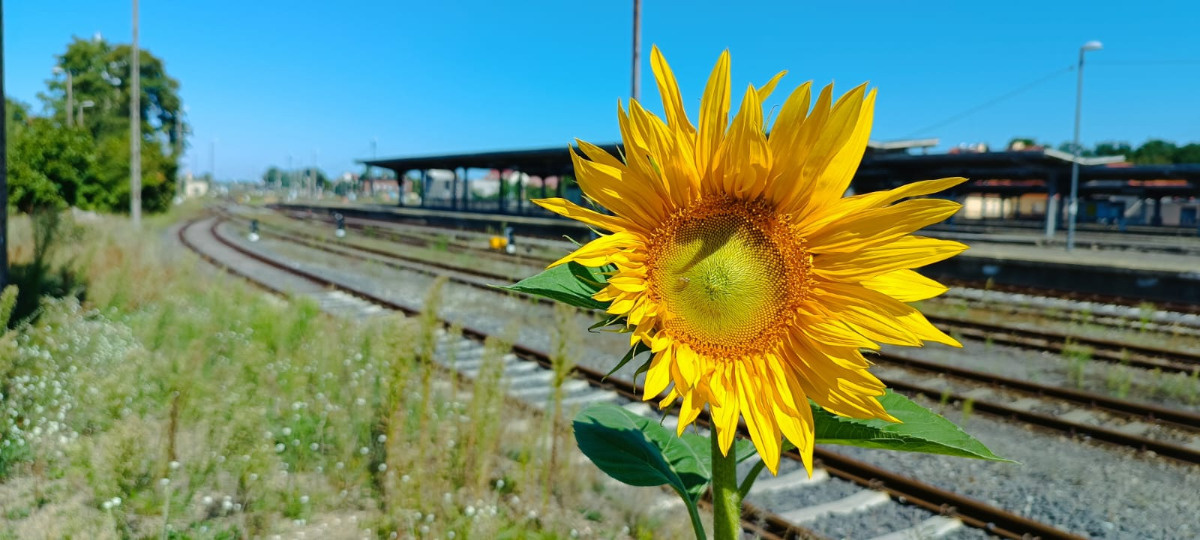 44a31d7d-83ad-4411-9d6b-9a3cc15289ed