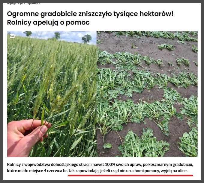 004a0882-2f61-4b77-b8a7-79b64a6edf47