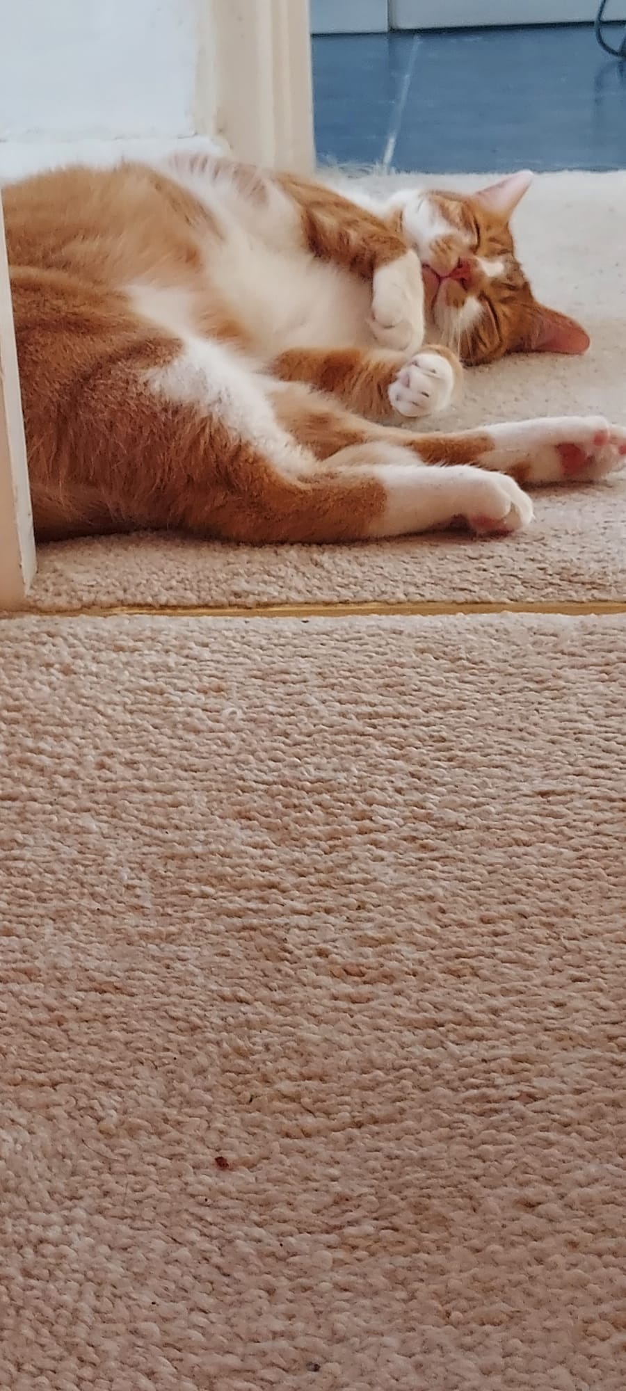 116e8332-0af0-4269-98f3-9246a4d98c99