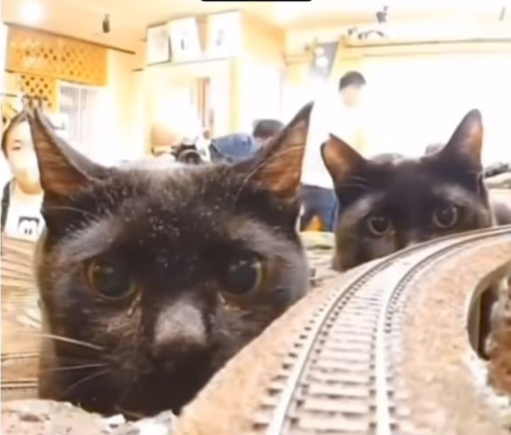 89ea5885-8b28-49ed-a08e-2be6feadbd8e