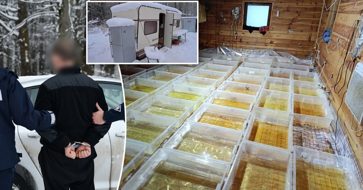 Policja rozbija laboratorium narkotykowe na Podlasiu. W tle nielegalna broń